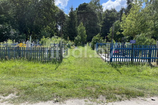 Мильчанское кладбище в Гомеле, фото