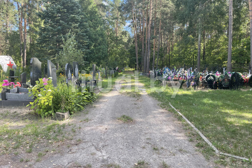 Кладбище Южное-2 в Гомеле, фото