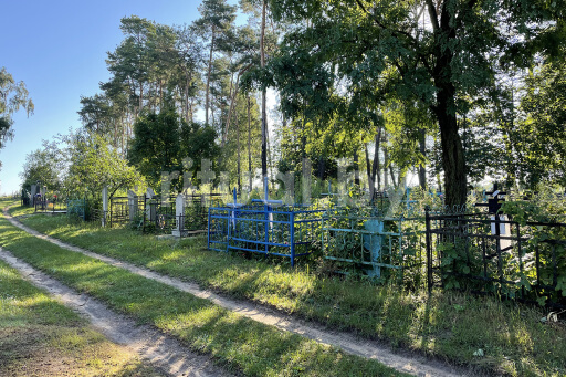 Кладбище Большевик в Гомеле, фото